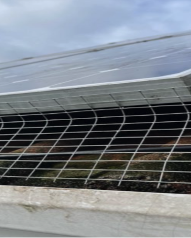 {solar panel pigeon proofing installers Wakefield|Wakefield solar panel pigeon proofing installers